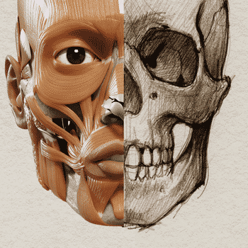 anatomia-3D-mac-logo