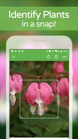 plantsnap-android-4-253x450