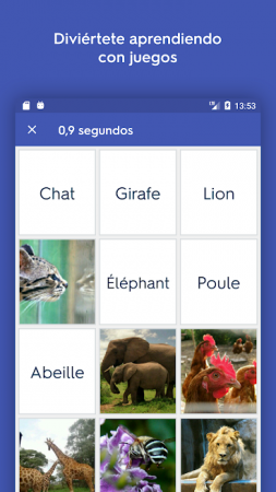 quizlet-android-1-253x450