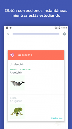 quizlet-android-3-253x450