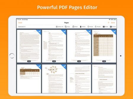 pdf-max-pro-ipad-3-450x337