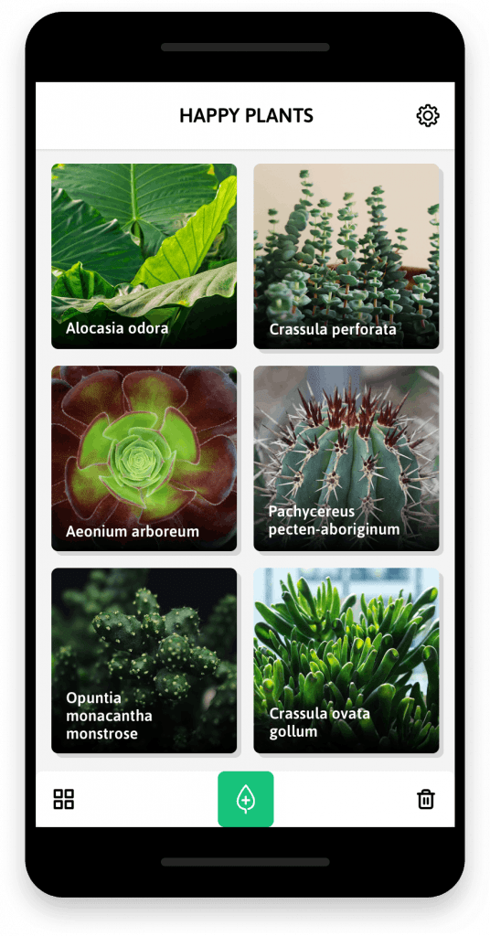 Descarga HappyPlants y descubre los secretos de tus plantas