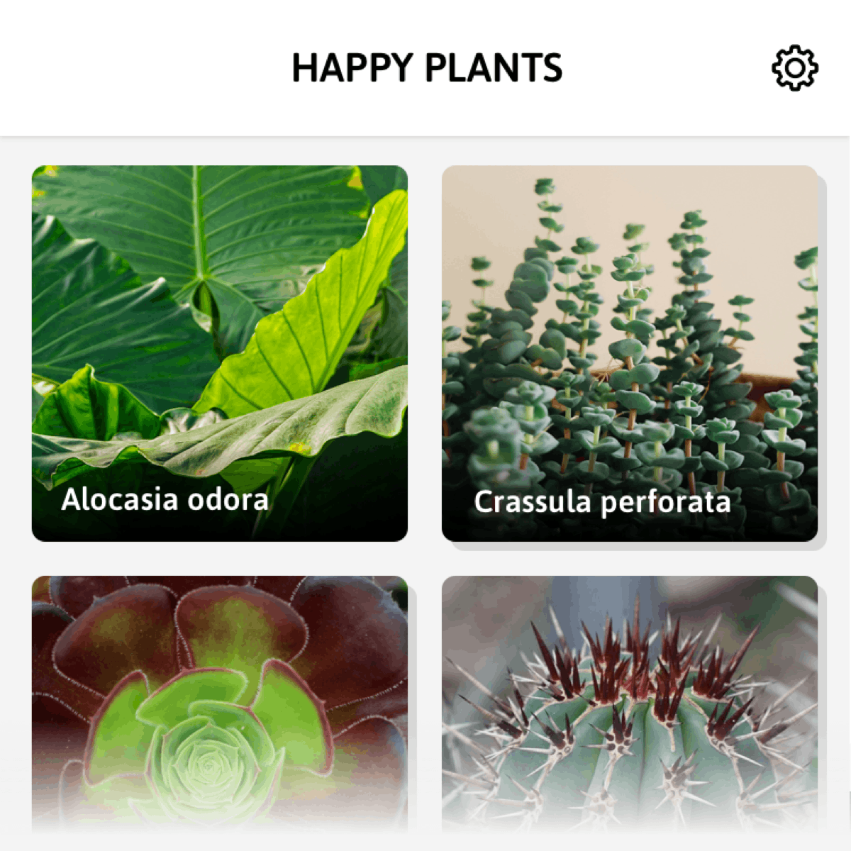 Descarga HappyPlants y descubre los secretos de tus plantas